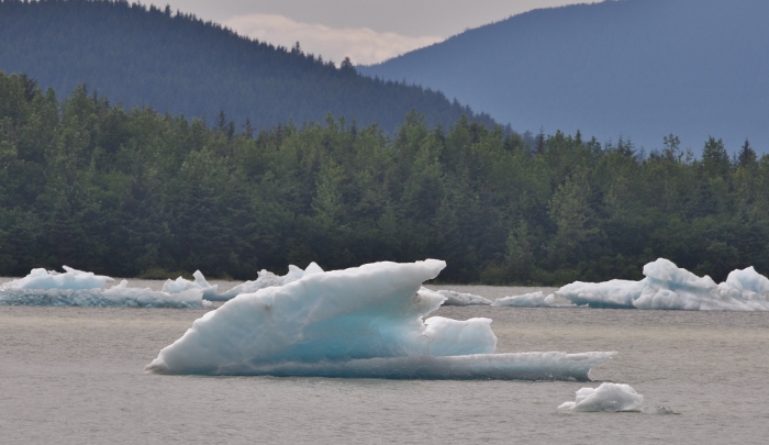 ice flow at Mendenhall Glacier
